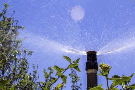 Water sprinkler for garden.